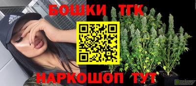 мдпв Ипатово