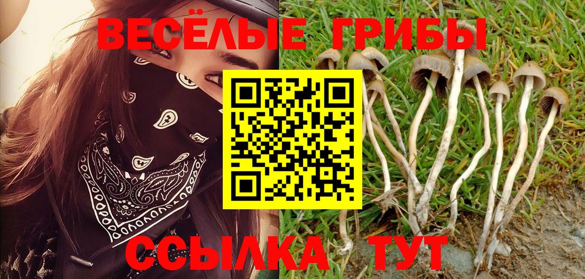 Галлюциногенные грибы Psilocybe  Вход с VPN  Волжский 